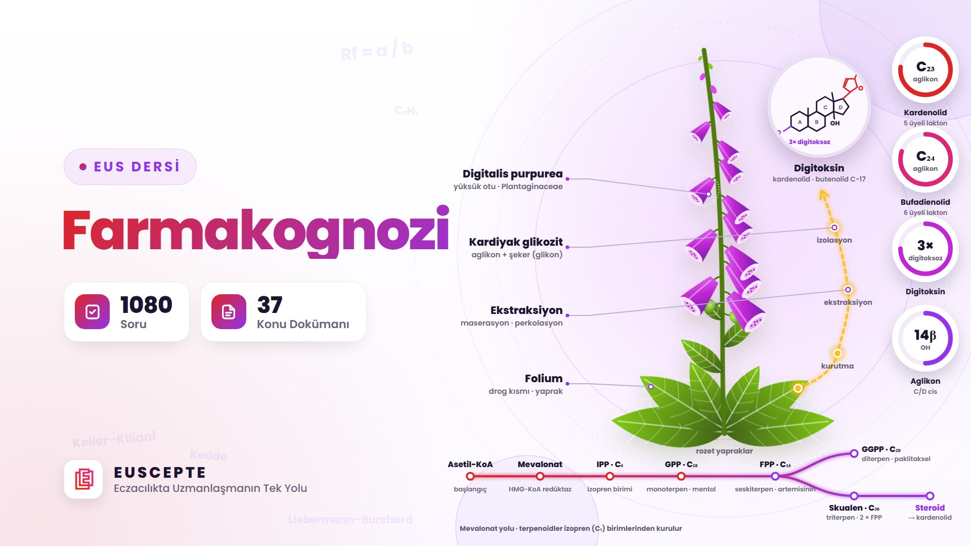 FARMAKOGNOZİ