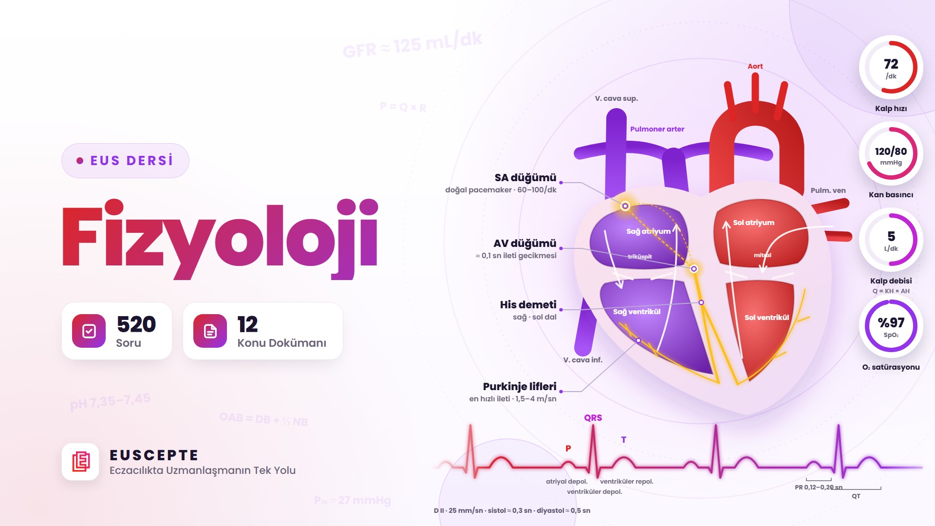FİZYOLOJİ