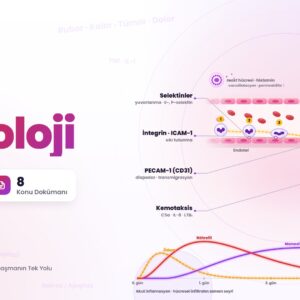 PATOLOJİ