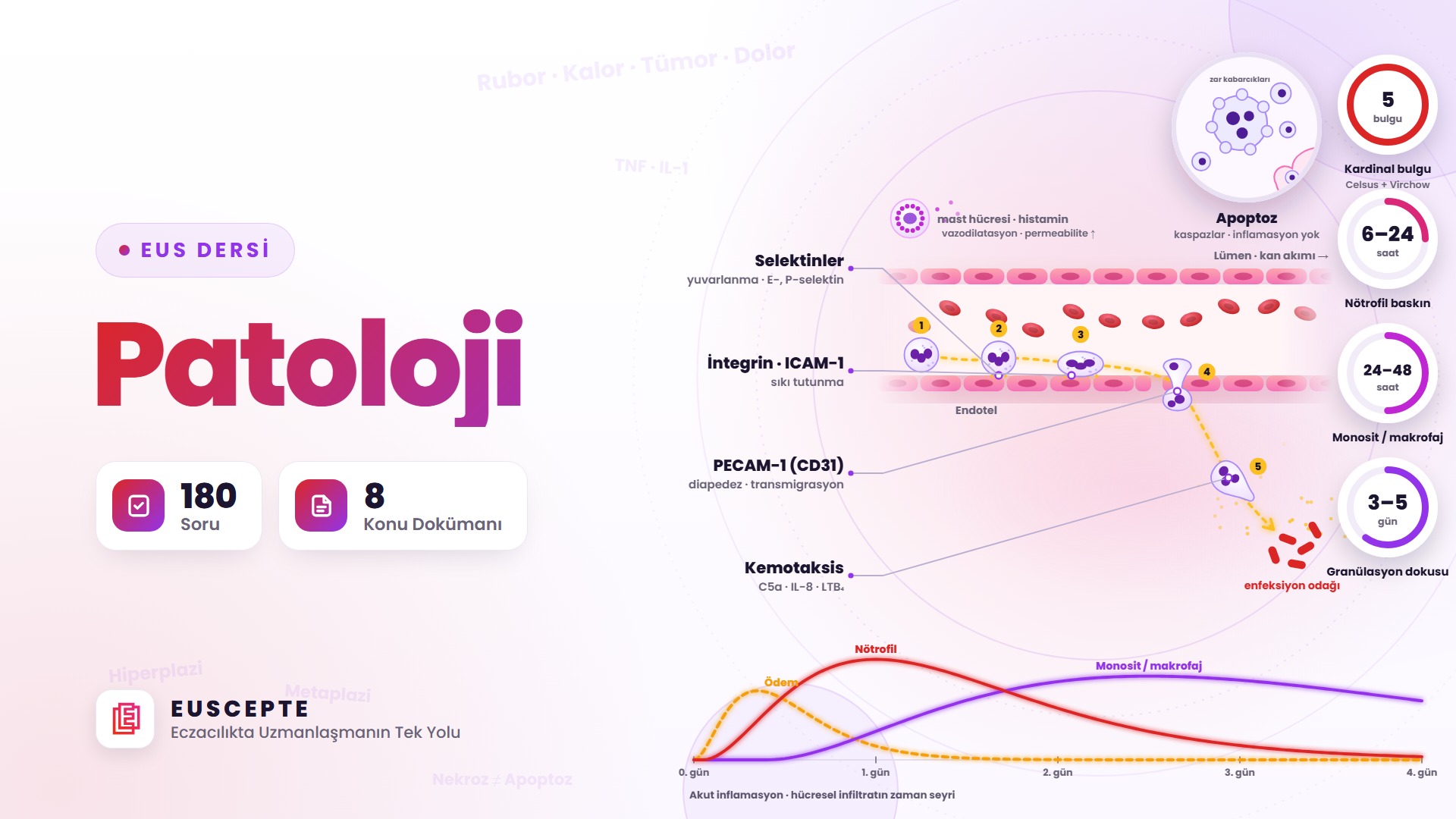 PATOLOJİ